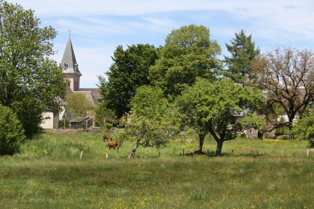 Auberge De Saint Julien Aux Bois Bagian luar foto