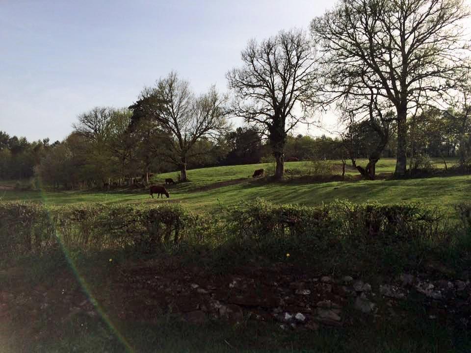 Auberge De Saint Julien Aux Bois Bagian luar foto