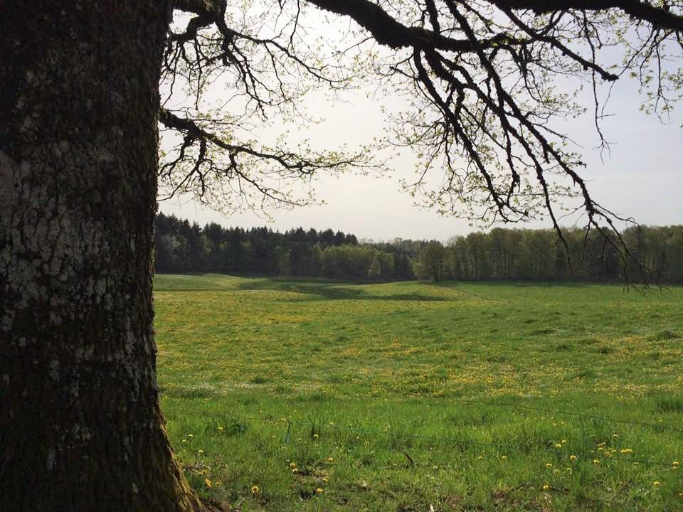 Auberge De Saint Julien Aux Bois Bagian luar foto